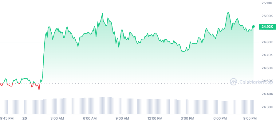 Bitcoin Price Today: BTC Rise By 1.81%, Reaches Near The 25k Mark