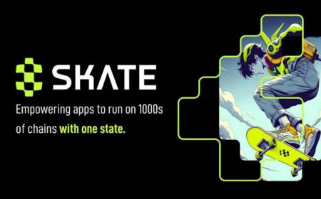 Unified Liquidity Platform Range Protocol Unveils Skate: The First Universal Application Layer Powering Apps to Run on All Chains With One State